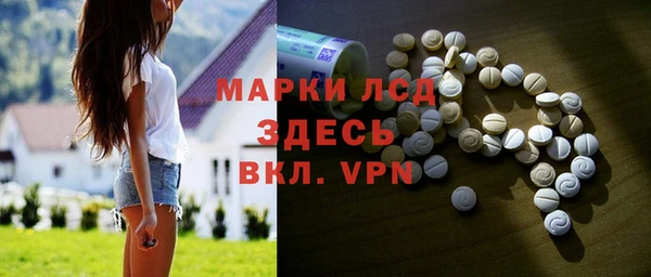 индика Алексин