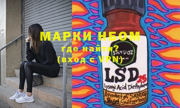 индика Алексин