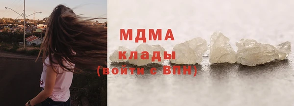 индика Алексин