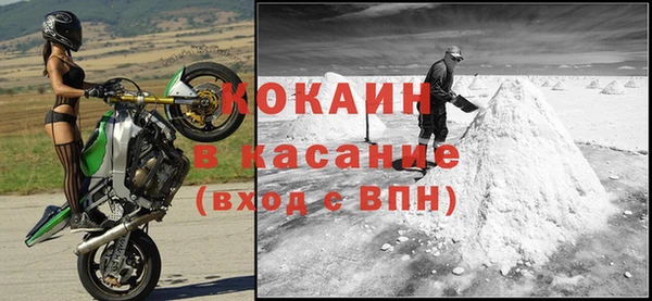 индика Алексин