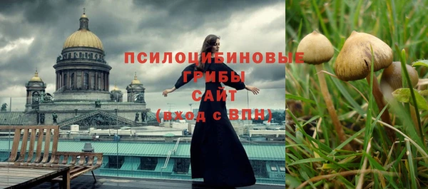 индика Алексин