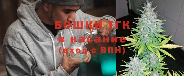 индика Алексин
