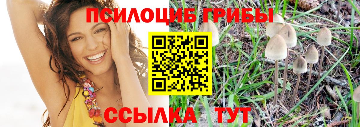 Галлюциногенные грибы мухоморы Заинск