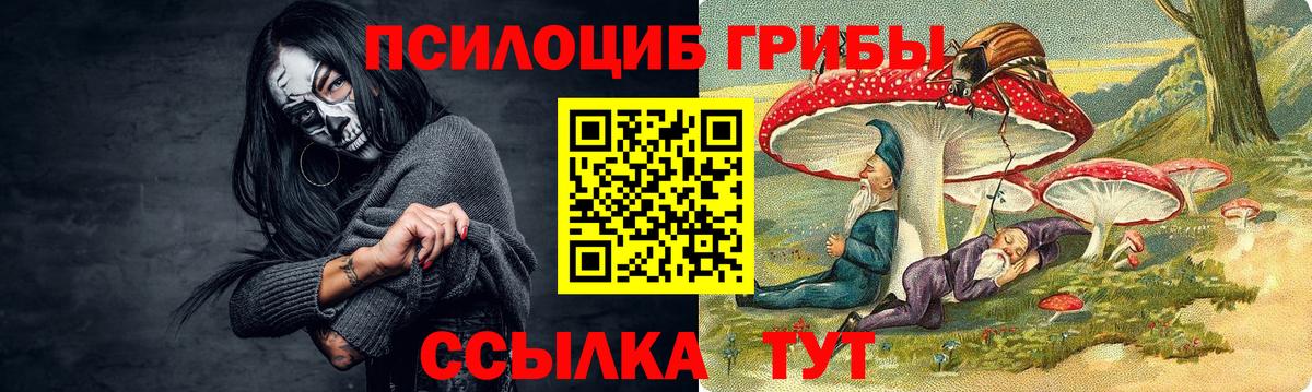 Псилоцибиновые грибы Psilocybe  Галлюциногенные грибы прущие грибы  Вход с VPN  Заинск 